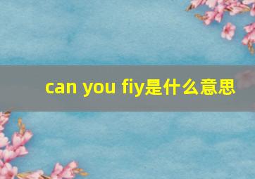 can you fiy是什么意思